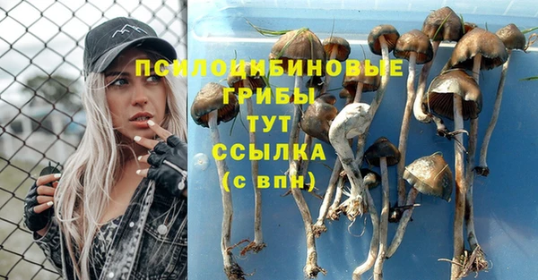 apvp Сатка