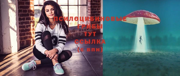apvp Сатка