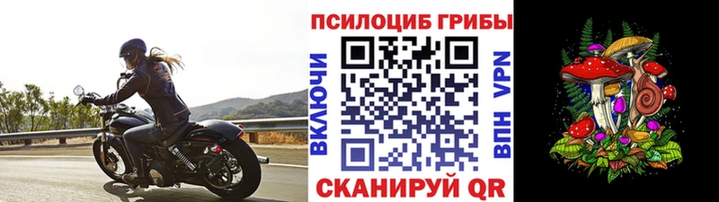 Псилоцибиновые грибы мицелий  Белово 