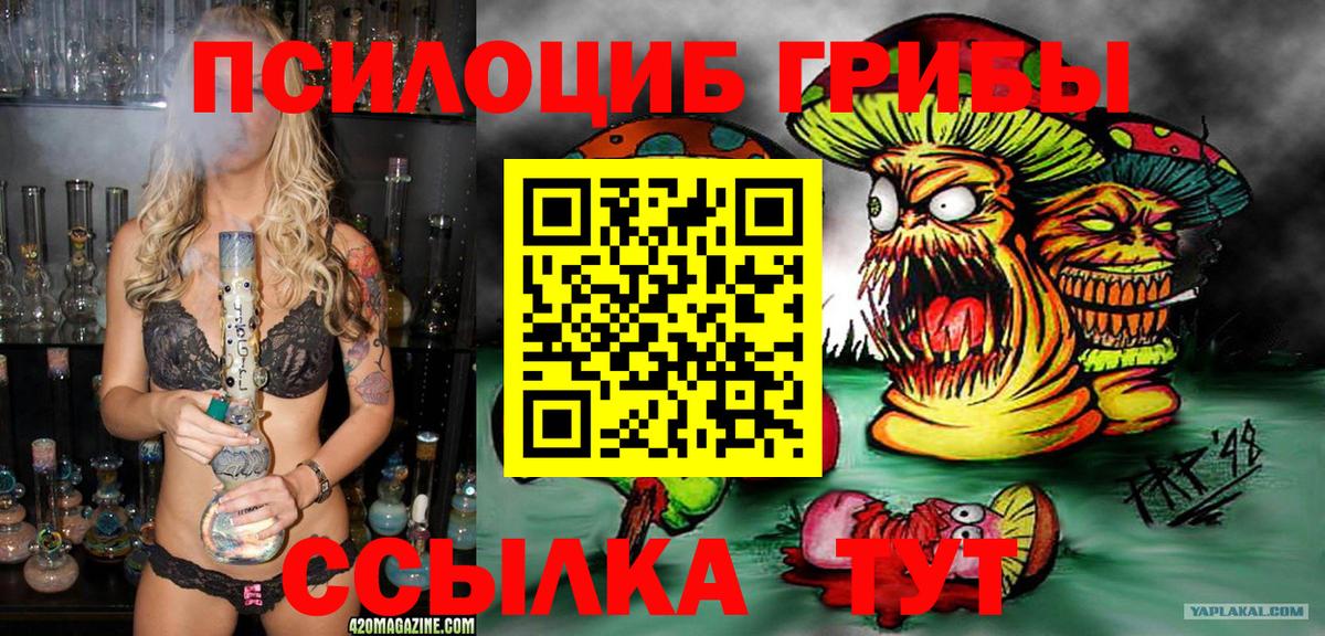 Псилоцибиновые грибы Psilocybe  Белово 