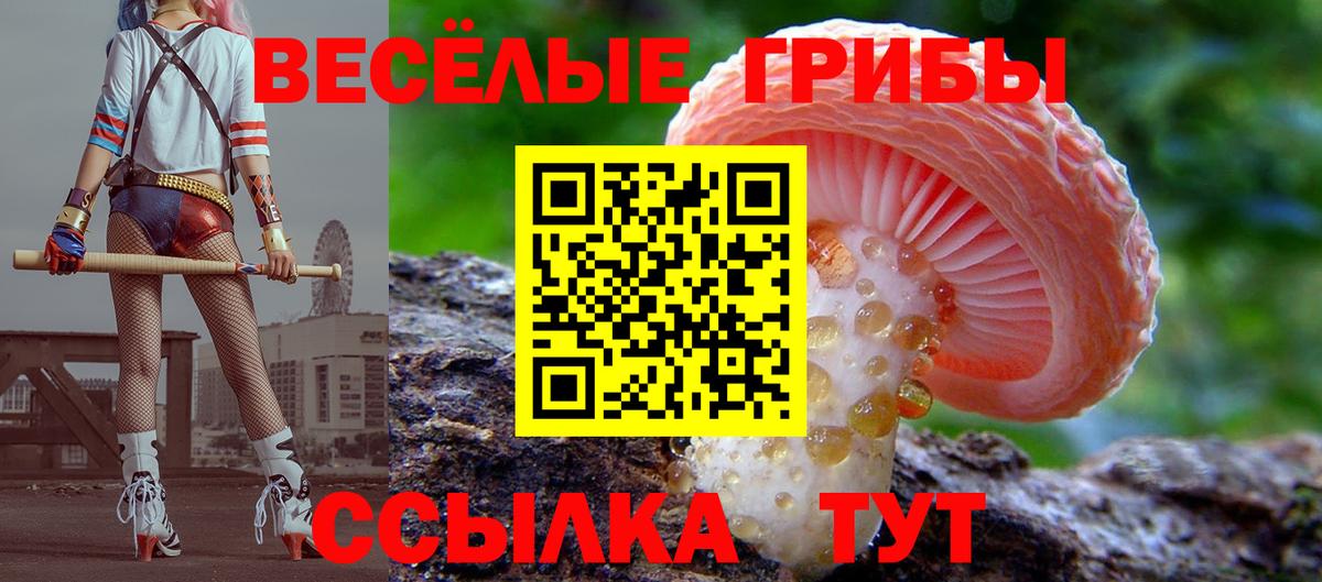 Псилоцибиновые грибы мухоморы Белово
